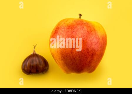 châtaignier et pomme de gala royale rouge isolée sur fond jaune Banque D'Images