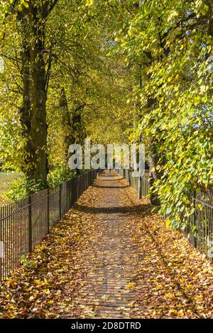 Sentier de randonnée bordé d'arbres lors d'une journée d'automne ensoleillée à Harborne, Birmingham Banque D'Images