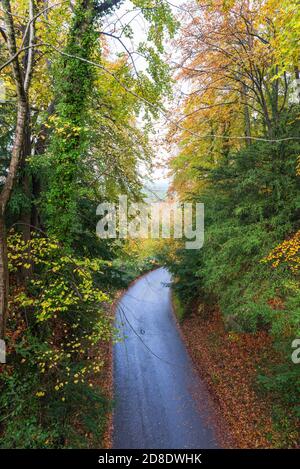 Vue depuis Symonds Yat Rock de la vallée de Wye et Rivière Wye en automne avec des arbres et des feuilles colorés Banque D'Images