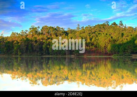 L'intégrité de la forêt et la nature du réservoir de Huai Pang tong à Pang Oung, projet de développement royal de Pang Tong Mae Hong son, Thaïlande Banque D'Images