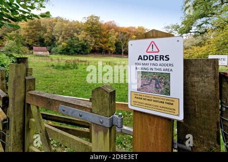 Un panneau sur une porte avertissant les gens d'être au courant d'Adders dans la campagne environnante, Friday Street Surrey Hills England UK Banque D'Images