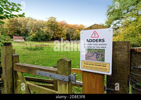 Un panneau sur une porte avertissant les gens d'être au courant d'Adders dans la campagne environnante, Friday Street Surrey Hills England UK Banque D'Images