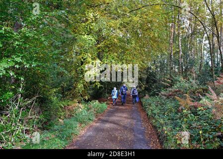 Trois randonneurs âgés, un homme deux femmes, dans une ruelle de campagne près de Friday Street dans les collines de Surrey, un jour automnal ensoleillé, près de Wotton England UK Banque D'Images