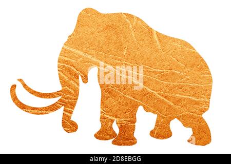 silhouette d'éléphant avec texture de peau isolée sur fond blanc Banque D'Images