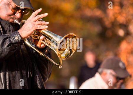 Jazz dans le parc Banque D'Images