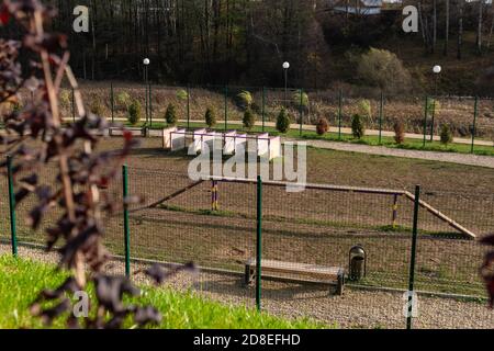 Terrain de jeu pour chiens dans le parc pour se promener en toile de fond de la forêt de la nature Banque D'Images