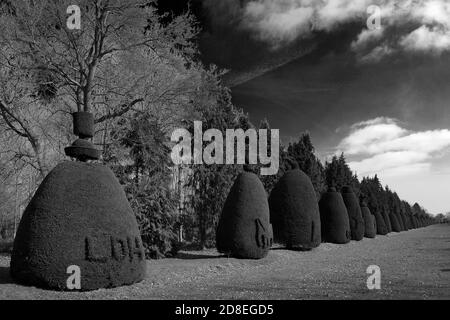 L'avenue Yew Tree au village de Clipsham; Rutland; Angleterre; Royaume-Uni Banque D'Images