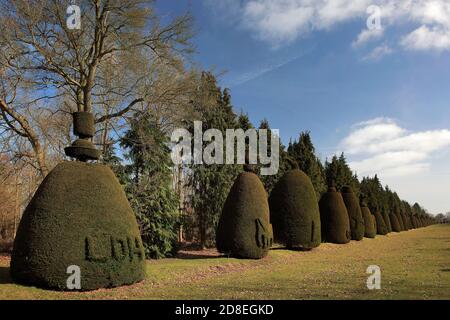 L'avenue Yew Tree au village de Clipsham; Rutland; Angleterre; Royaume-Uni Banque D'Images