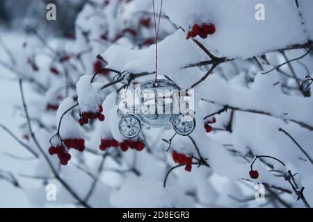 Baies mûres rouges de Viburnum sur les branches d'arbre avec de la neige parc d'hiver Banque D'Images