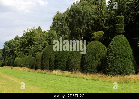 L'avenue Yew Tree au village de Clipsham; Rutland; Angleterre; Royaume-Uni Banque D'Images