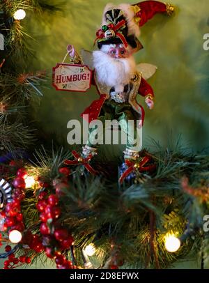 Un elfe habillé de façon festive portant un panneau Humbug de couleur blanche barbe qui célèbre une tradition Banque D'Images