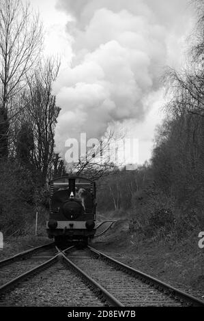 « Vulcan » et deux fourgonnettes couvertes sur la branche de Springwell. Banque D'Images