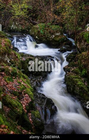 Une section de rapides et de cascades de High Force, au-dessus de la célèbre chute d'eau d'Aira Force en automne, près d'Ullswater, Lake District, Cumbria, Angleterre, Royaume-Uni Banque D'Images