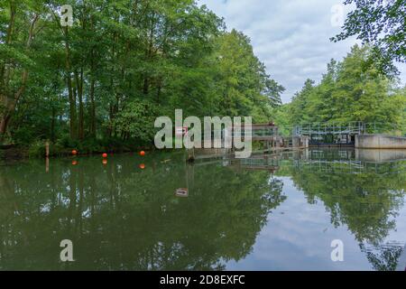 Excursion en bateau à la découverte de la forêt de la Spree, Oberstreewald, Brandebourg, Allemagne de l'est, Europe Banque D'Images