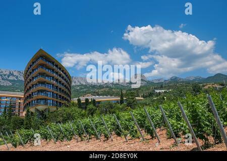 Vue panoramique sur la vallée avec hôtel moderne de luxe entouré par vignobles sur fond de chaîne de montagnes Banque D'Images