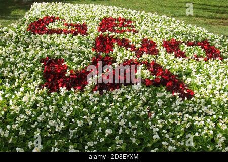 Composition florale. L'inscription du nom de la ville de Gênes de fleurs rouges est représentée dans une étendue de fleurs blanches. Gênes, Italie. Banque D'Images