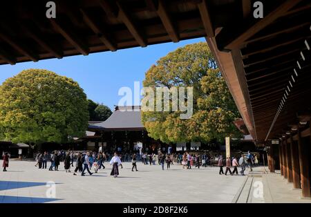 La cour principale et la salle principale de Meiji Jingu (Temple Meiji).Shibuya.Tokyo.Japon Banque D'Images