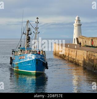 28 octobre 2020. Macduff Harbour, Aberdeenshire, Écosse, Royaume-Uni. C'est le bateau de pêche, Shaulora arrivant à la maison avec ses prises un après-midi ensoleillé. Banque D'Images