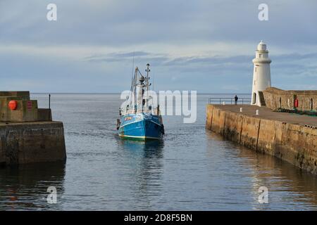 28 octobre 2020. Macduff Harbour, Aberdeenshire, Écosse, Royaume-Uni. C'est le bateau de pêche, Shaulora arrivant à la maison avec ses prises un après-midi ensoleillé. Banque D'Images