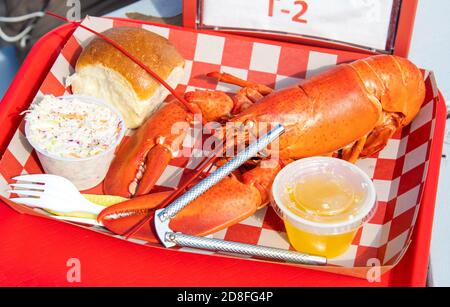 Homard entier, McLoons Lobster Shack, South Thomasston, Maine, États-Unis Banque D'Images