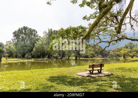 Taiping Lake Gardens est le premier jardin public établi sous la domination britannique en Malaisie. Banque D'Images