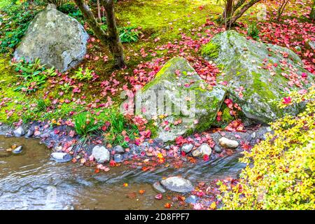 Jardin japonais en automne, Washington-USA Banque D'Images