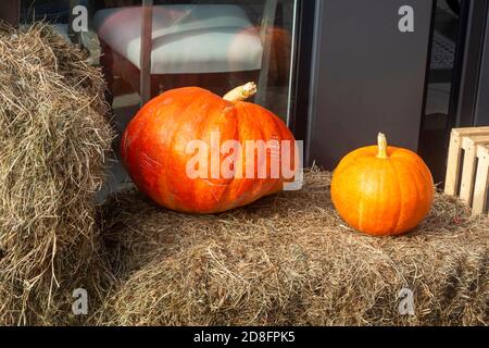 Citrouilles orange sur la pile de paille et de foin. Belle décoration d'automne, Halloween. Banque D'Images