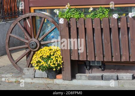 Roue en bois et clôture rustique. Chrysanthèmes jaunes dans un grand seau. Belle décoration d'une maison de campagne. Banque D'Images