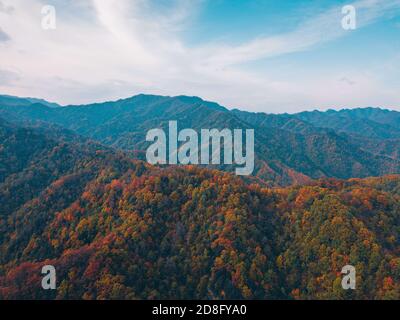 Qinling, Qinling, Chine. 30 octobre 2020. CHINE-la vallée de Qinling au début du mois d'octobre a été légèrement froide, le ciel à la fin de l'automne est aussi bleu que le wash. Le soleil éclatant se reflète dans les feuilles rougeâgissantes du sumac, de l'érable, de l'érable, du bouleau et ainsi de suite. Après le vent et la couche de gel sur la couche de baptême, même la colline, chemin, les arbres anciens commencent à répandre l'automne rouge. Crédit : SIPA Asia/ZUMA Wire/Alay Live News Banque D'Images