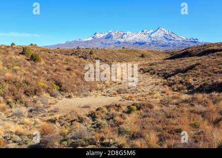 Mont Ruapehu, Nouvelle-Zélande, vu des prairies arides du désert de Rangipo Banque D'Images