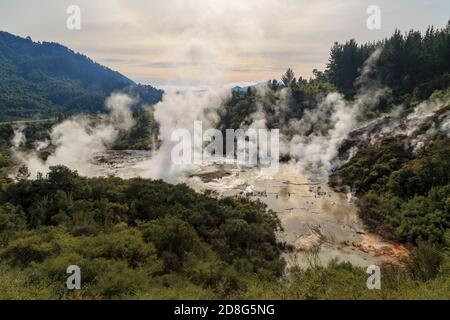 La zone géothermique d'Orakei Korako, une attraction touristique en Nouvelle-Zélande. La vapeur s'élève des sources chaudes sur les terrasses en silice Banque D'Images