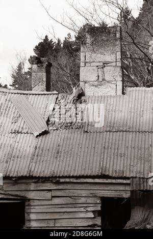 Le toit et la cheminée d'une ancienne ferme abandonnée, avec le fer ondulé s'écaille pour révéler des bardeaux. Traitement rétro sépia Banque D'Images