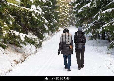 en hiver, promenez-vous dans la forêt enneigée Banque D'Images