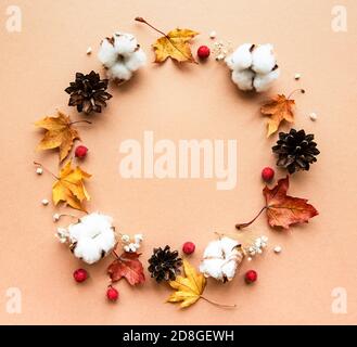 Décoration d'automne avec fleurs de coton et feuilles d'érable sèches forme d'un cercle sur fond marron Banque D'Images