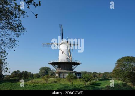 moulin 'de Koe', 'la vache' à Veere, monument national. Pays-Bas. Banque D'Images