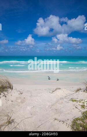 La province de Villa Clara, Cuba, l'archipel Jardines del Rey, Cayo Santa Maria, Playa Santa Maria Banque D'Images