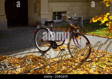 vélo stationné près de l'entrée de la maison et jaune feuilles tombées autour Banque D'Images