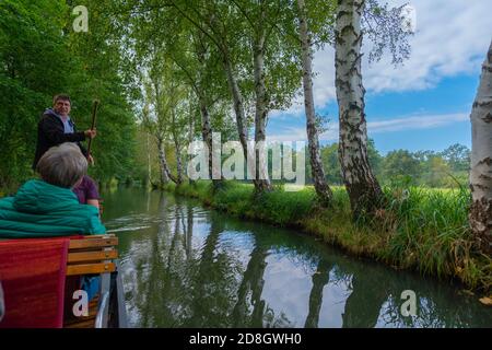 Excursion en bateau à la découverte de la forêt de la Spree, Oberstreewald, Brandebourg, Allemagne de l'est, Europe Banque D'Images