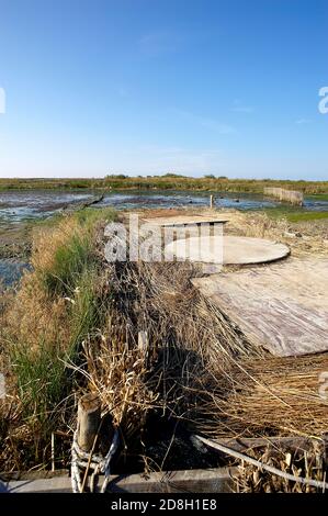 Pila (RO), Delta du fleuve po, Italie, une station pour les chasseurs de canard de fot Banque D'Images