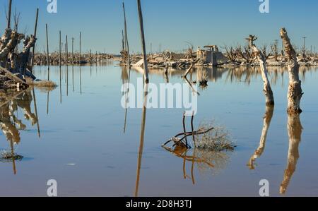 Apocalypse. Au milieu de la ruine par l'inondation. Banque D'Images