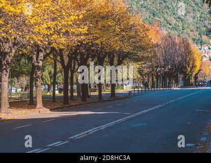 paysage urbain d'une avenue bordée d'arbres aux couleurs vives Avec tapis d'automne leaves.Como,Lombardy,Italy Banque D'Images