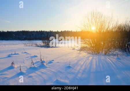 Paysage hivernal gelé avec pelouse de forêt illuminée par la lumière du soleil levant. Banque D'Images
