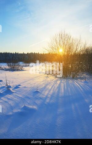 Paysage hivernal gelé avec pelouse de forêt illuminée par la lumière du soleil levant. Banque D'Images