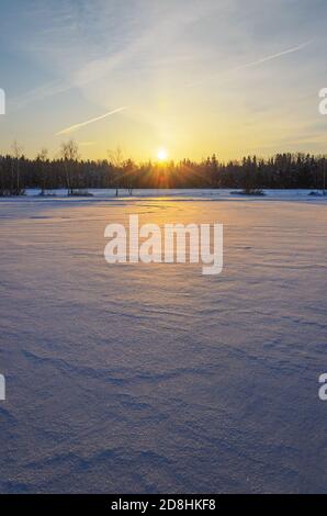 Paysage hivernal gelé avec pelouse de forêt illuminée par la lumière du soleil levant. Banque D'Images