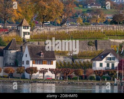 Tuyaux en bord de lac et vignobles du monastère de Capuchin dans l'Altstadt de Rapperswil, Saint-Gall, Suisse Banque D'Images