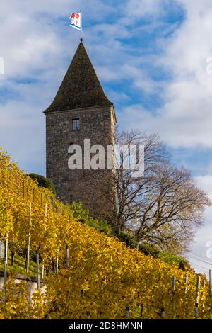 Vignobles en bord de lac du monastère de Capuchin dans l'Altstadt de Rapperswil, Saint-Gall, Suisse Banque D'Images