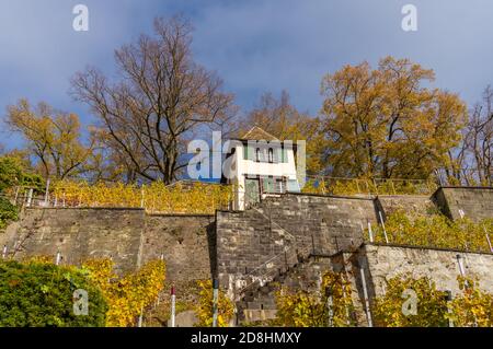 Vignobles en bord de lac du monastère de Capuchin dans l'Altstadt de Rapperswil, Saint-Gall, Suisse Banque D'Images