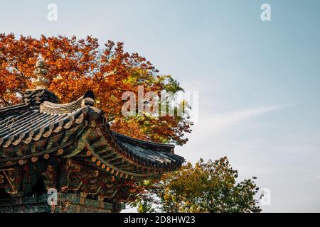 Temple Jingwansa toit traditionnel coréen avec érable d'automne à Séoul, en Corée Banque D'Images