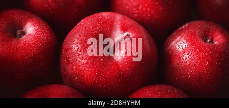 Plusieurs grandes pommes rouges mûres douces avec des gouttes d'eau sur la peau sont illuminées par la lumière. Récolte riche de délicieux fruits juteux. Banque D'Images