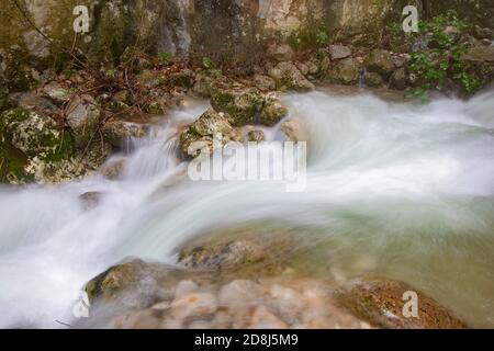 Ruisseau d'eau, petite rivière cachée dans la forêt Banque D'Images